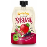 Ovocňák Mošt jablko lesní ovoce 250 ml – Zboží Dáma