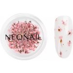Neonail Dried Flowers sušený květ na nehty odstín Pink 1 ks – Zboží Mobilmania