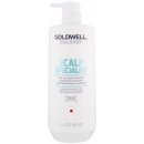 Goldwell Dualsenses Scalp Specialist Deep Cleansing Shampoo 1000 ml