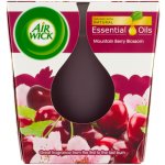 Air Wick Essential oils Višňový čaj 105 g – Zboží Dáma
