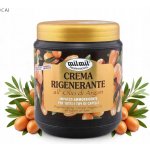 Mil Mil Argan/regenerační krém s arganovým olejem pro všechny typy vlasů 1000 ml – Hledejceny.cz
