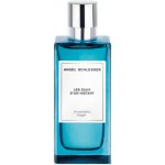 Angel Schlesser Les Eaux D'Un Instant Aromatic Sage toaletní voda pánská 100 ml – Hledejceny.cz