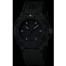 Luminox 0201.BO