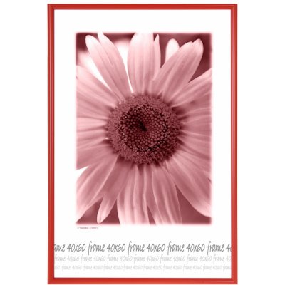 Tradag Rám červený s plastem 40x60 – Zboží Živě