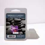 Kringle candle Spa Day Vonný Vosk, 64g – Zboží Dáma