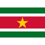 Surinam vlajka - 100 x 150 cm - tunel, karabina – Hledejceny.cz