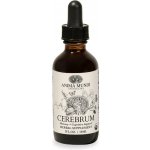 Anima Mundi Cerebrum Brain Adaptogenní tonikum 59 ml – Hledejceny.cz