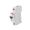 Jističe ABB 230VAC 50A 1 DIN C 6kA IP20 1÷25mm2