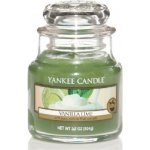 Yankee Candle Vanilla Lime 104 g – Zbozi.Blesk.cz