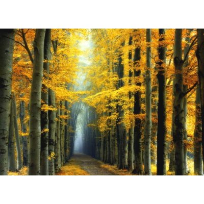 Pohlednice Poslové světla – Sleviste.cz