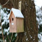 Esschert Design Budka "Best for birds" pro Sýkorku modřinku 18 x 32 cm dřevo, přírodní – Hledejceny.cz