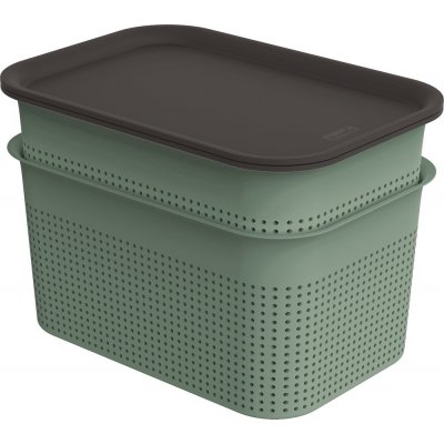 Rotho Brisen Set box s víkem 2x 4,5l zelená