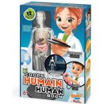 Experimentální sada Lidské tělo – Hledejceny.cz