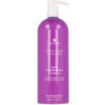 Alterna Caviar Infinite Color Hold Conditioner 1000 ml – Zboží Dáma