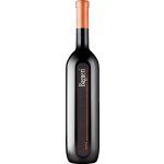 Klet Brda Bagueri Merlot červené 2019 13,5% 0,75 l (holá láhev) – Hledejceny.cz
