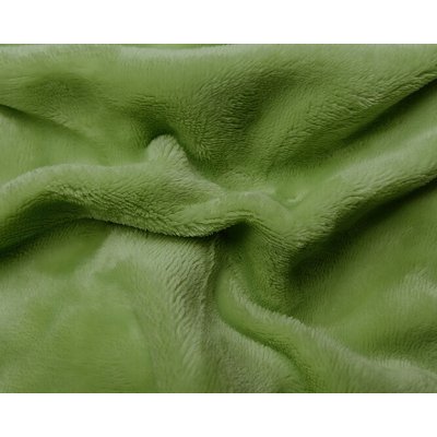 Sleep Well Prostěradlo mikroflanel zelené kiwi 180x200 – Zboží Mobilmania