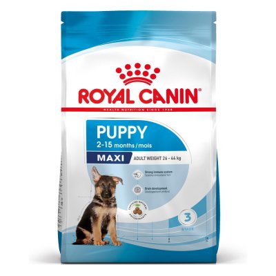 Royal Canin Maxi Puppy 4 kg – Hledejceny.cz