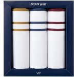 SCANquilt pánské kapesníky VIP 3 ks G111 – Zboží Dáma