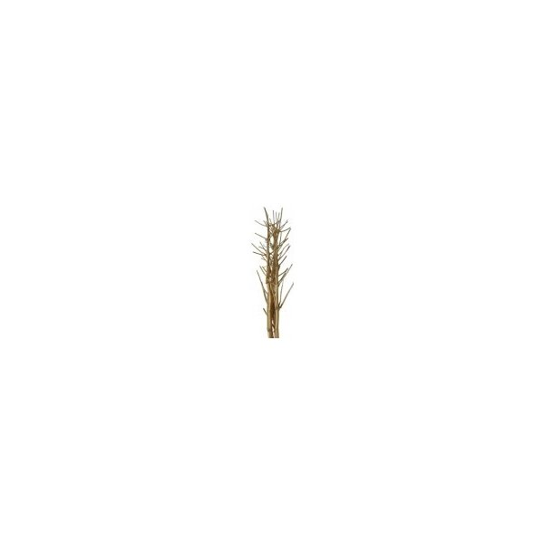 Květina Fenykl - sušené větve zlaté 160cm
