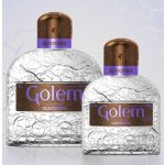 Golem Slivovice 40% 1 l (holá láhev) – Zboží Dáma