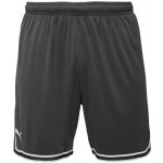 Puma HOOPS TEAM GAME SHORT – Hledejceny.cz