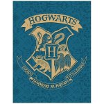 HALANTEX Fleece deka Harry Potter blue – Zboží Dáma