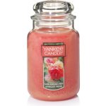 Yankee Candle Sun-Drenched Apricot Rose 623 g – Zboží Mobilmania