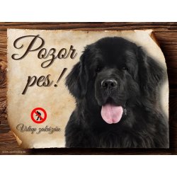 Sport hobby Cedulka Novofundlandský pes Pozor pes zákaz 15 x 11 cm
