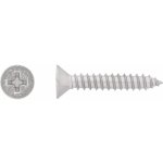 Vrut do plechu se zápustnou hlavou PH2 plný závit bíle pozink. 5,5x25 mm, 12 ks – Hledejceny.cz