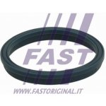 FT49407 FAST Těsnění, koleno sacího potrubí – Sleviste.cz