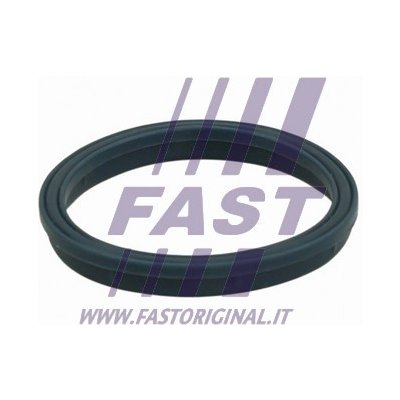 FT49407 FAST Těsnění, koleno sacího potrubí – Sleviste.cz