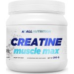 AllNutrition CREATINE MUSCLE MAX 250 g – Hledejceny.cz