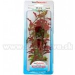 Tetra Ludwigia repens - Red Ludwigia 30 cm – Hledejceny.cz
