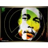 Obraz Obraz Bob Marley pop art