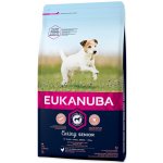 Eukanuba Senior Small 3 kg – Hledejceny.cz