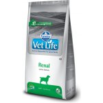 Vet Life Renal 12 kg – Sleviste.cz