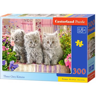 Castorland Tři šedá koťátka 300 dílků – Zboží Mobilmania