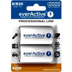everActive professional line D 10000mAh 2ks EVHRL20-10000 – Zboží Živě