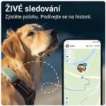 Tractive DOG XL – Zboží Mobilmania