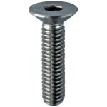 Hahn Steel Imbusový šroub M8 x 20 mm, Nerez AISI 316, surový stav – Hledejceny.cz