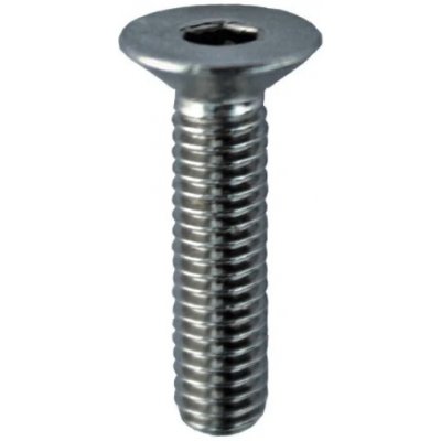 Hahn Steel Imbusový šroub M8 x 20 mm, Nerez AISI 316, surový stav – Hledejceny.cz
