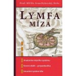 Lymfa míza - Ivan Dylevský – Hledejceny.cz