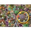 Puzzle ANATOLIAN Kaktusové květináče 1000 dílků