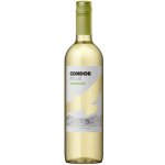 Andean Condor Peak Sauvignon blanc 13,5% 0,75 l (holá láhev) – Hledejceny.cz