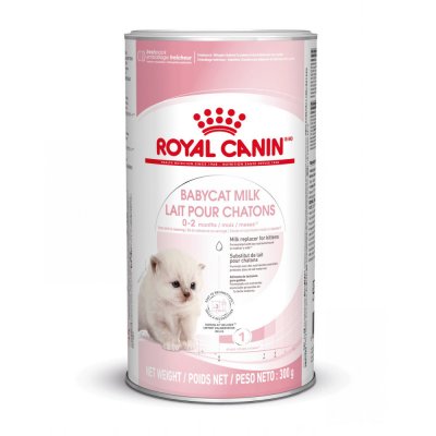 Royal Canin BabyCat milk 0,3 kg – Hledejceny.cz