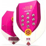 Royal Queen Seeds Ice semena neobsahují THC 5 ks – Sleviste.cz
