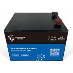 ULTIMATRON LiFePO4 Smart BMS 12,8V/560Ah 7168Wh ULM-12-560 – Zboží Živě