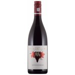 Weingut Dr. Wehrheim Rulandské modré suché červené 2020 12,5% 0,75 l (holá láhev) – Hledejceny.cz