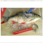 Reproplast Škrabka na ryby 1144 5x14cm, – Sleviste.cz