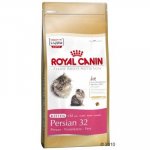 Royal Canin Persian Kitten 2 x 4 kg – Hledejceny.cz